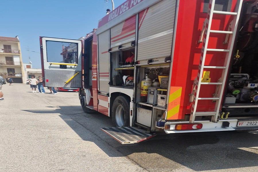 WhatsApp Image 2025 06 11 at 14.39.47