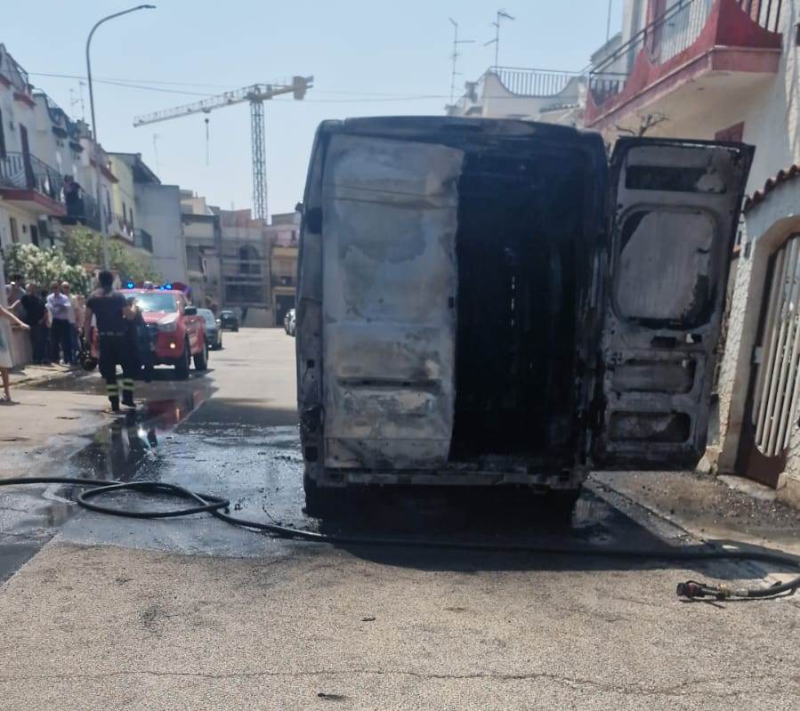 WhatsApp Image 2025 06 11 at 14.39.53