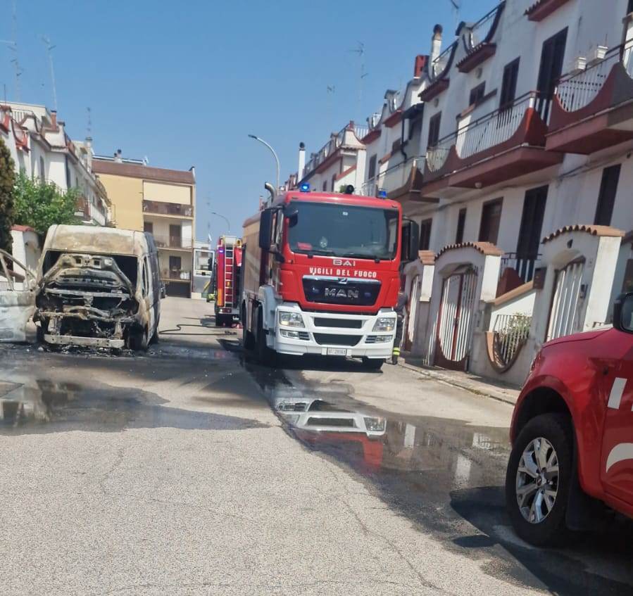 WhatsApp Image 2025 06 11 at 14.57.49