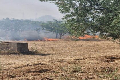 Incendio di sterpaglie in strada Vicinale Graviglione ad Acquaviva delle Fonti