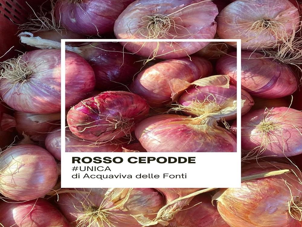 Festa della Cipolla Rossa di Acquaviva 2025 programma eventi