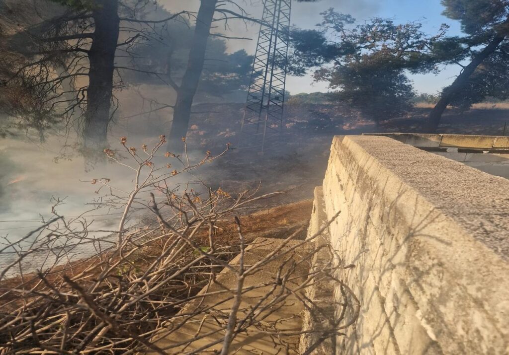 resized 10180552 ec65 4c2b 8578 3cbbf34afaa7