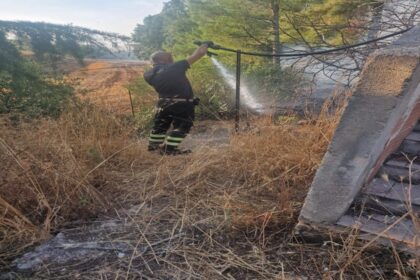 resized 2817d718 9b86 494a ada0 3e4b4c8a575d