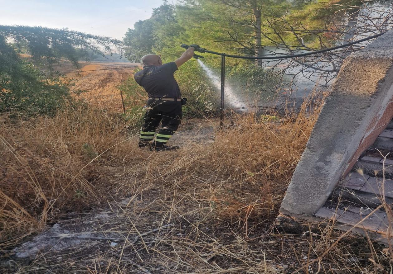 resized 2817d718 9b86 494a ada0 3e4b4c8a575d