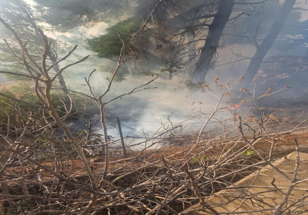 Incendio ad Acquaviva delle Fonti nei pressi della pineta