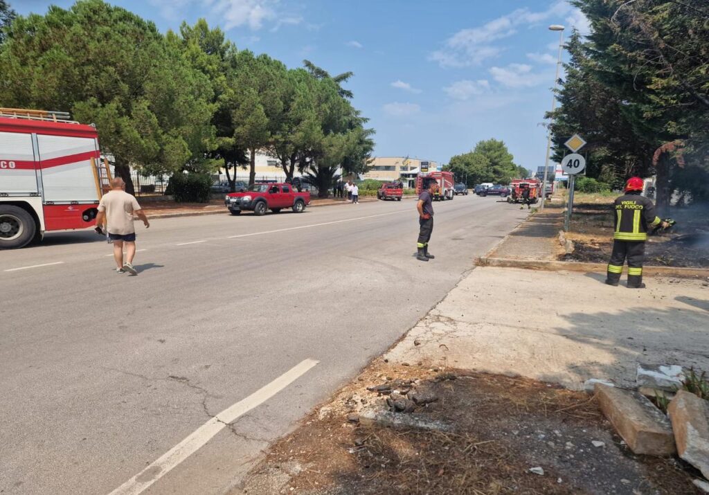 Incendio alle sterpaglie nella zona industriale di Acquaviva delle Fonti. Intervento di Vigili del Fuoco, Polizia Locale e Carabinieri.