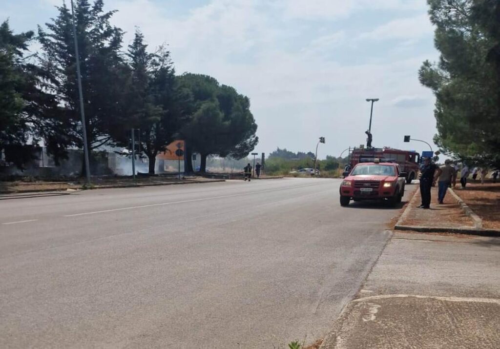 Incendio alle sterpaglie nella zona industriale di Acquaviva delle Fonti. Intervento di Vigili del Fuoco, Polizia Locale e Carabinieri.