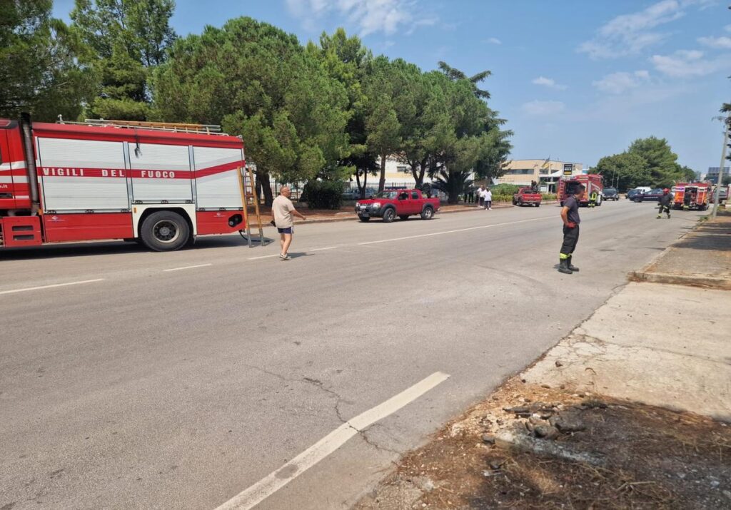 Incendio alle sterpaglie nella zona industriale di Acquaviva delle Fonti. Intervento di Vigili del Fuoco, Polizia Locale e Carabinieri.
