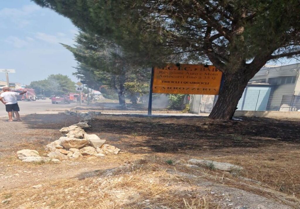 Incendio alle sterpaglie nella zona industriale di Acquaviva delle Fonti. Intervento di Vigili del Fuoco, Polizia Locale e Carabinieri.