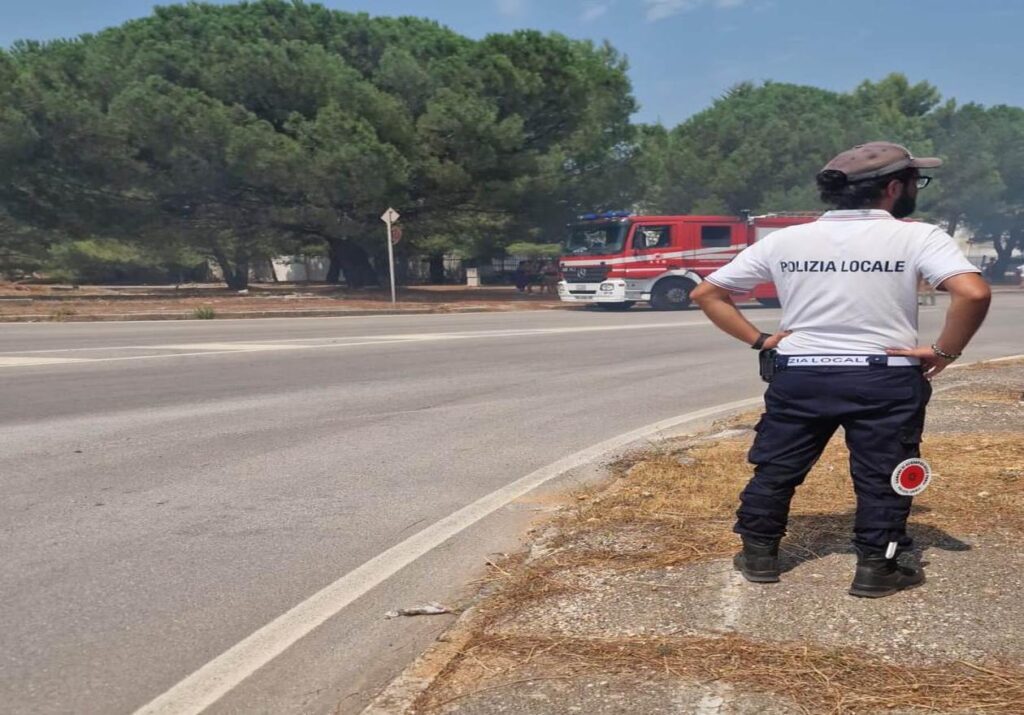 Incendio alle sterpaglie nella zona industriale di Acquaviva delle Fonti. Intervento di Vigili del Fuoco, Polizia Locale e Carabinieri.