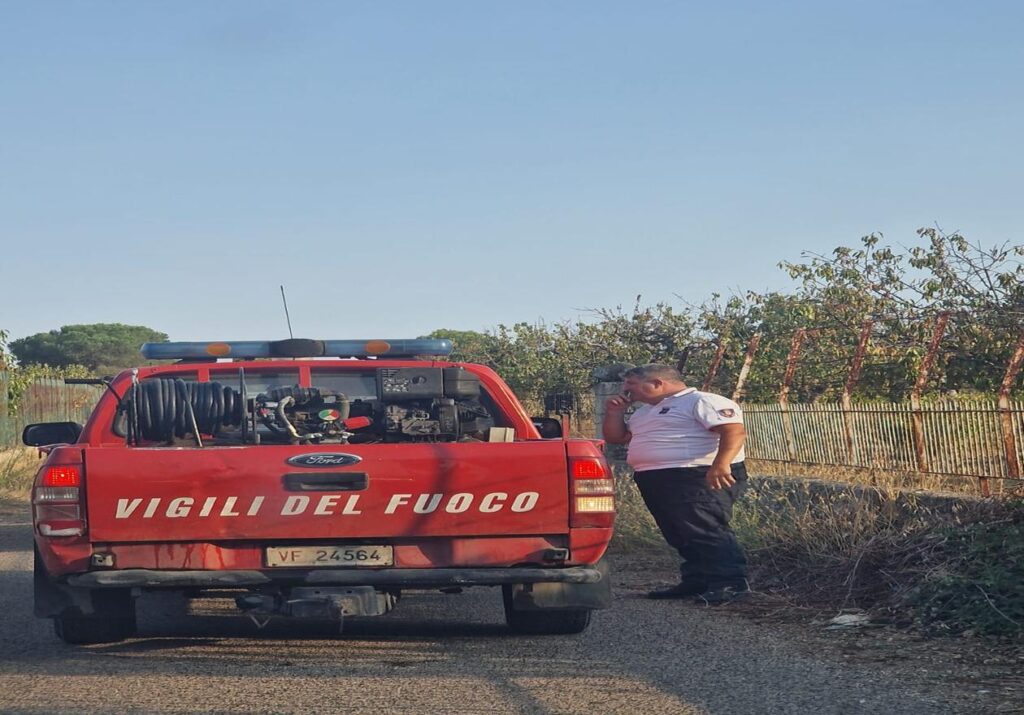 Incendio ad Acquaviva delle Fonti nei pressi della pineta