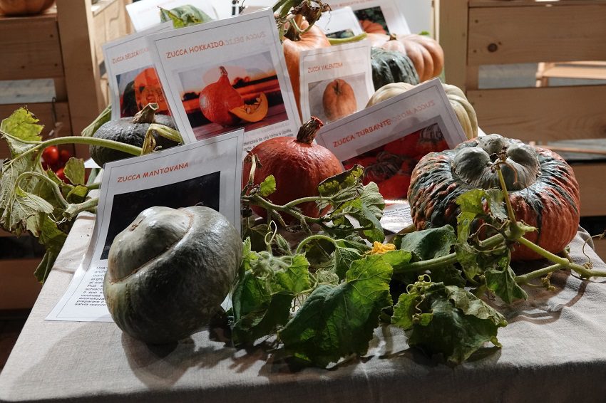 Sagra di Buò ad Acquaviva, con stand gastronomici e luci della festa.