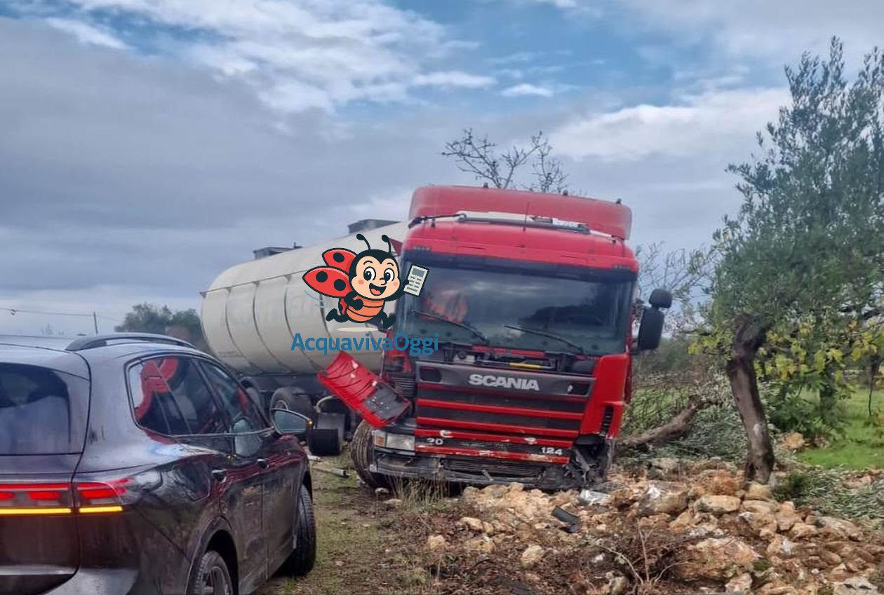 resized WhatsApp Image 2025 11 10 at 08.40.53 1