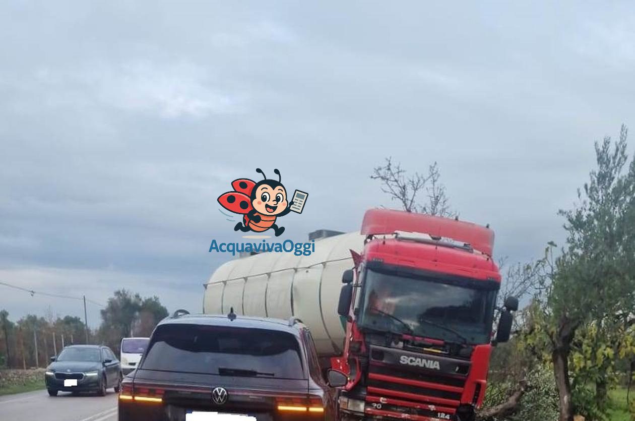 Camion Fuori Strada sulla Provinciale: Incidente Acquaviva Gioia con Lievi Disagi