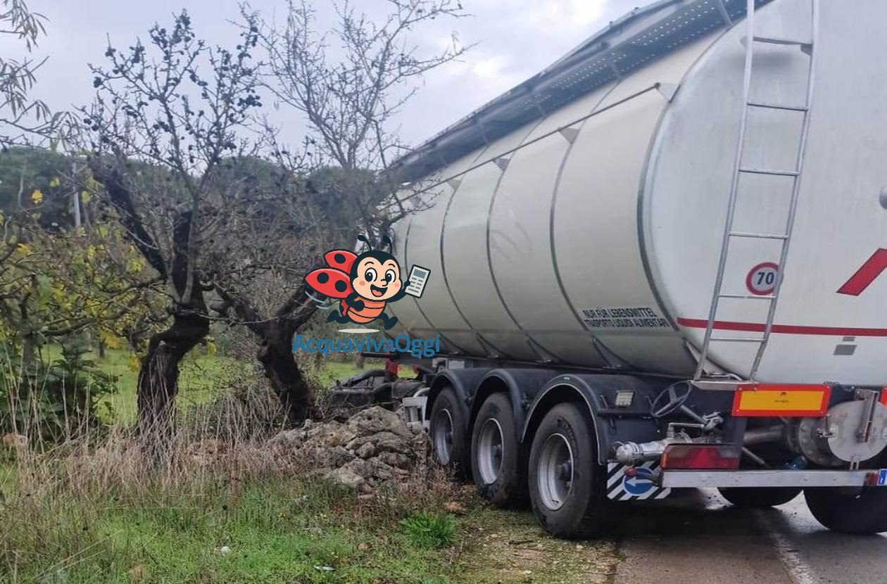 Camion Fuori Strada sulla Provinciale: Incidente Acquaviva Gioia con Lievi Disagi