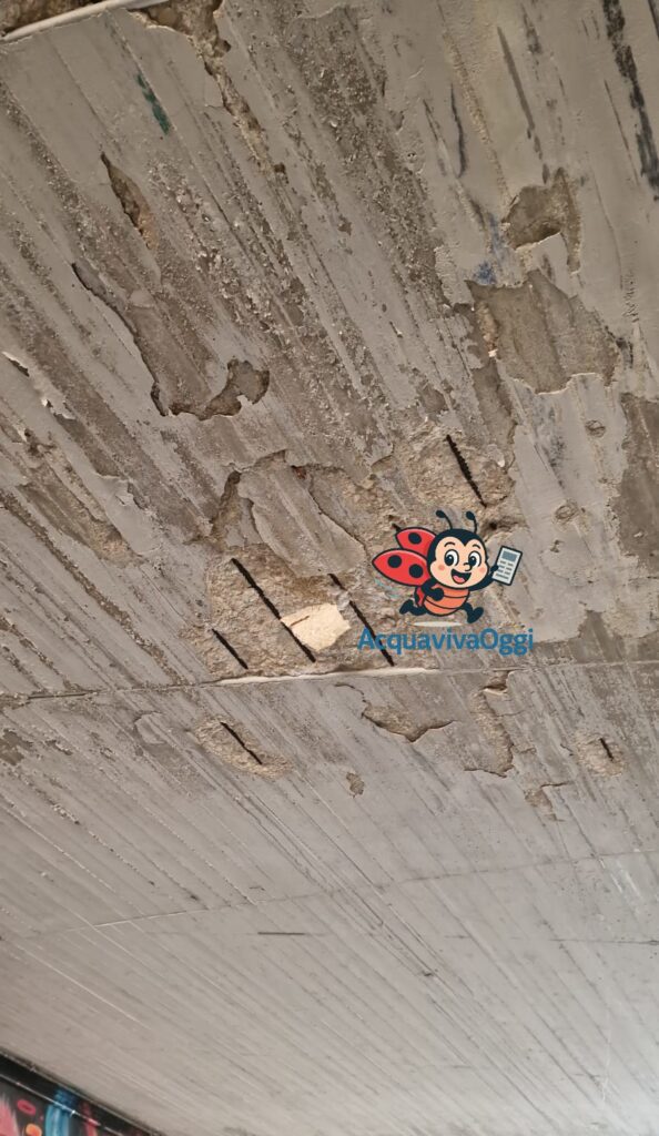 Dettaglio dei calcinacci distaccati e ferri a vista nel Sottopasso via per Cassano ad Acquaviva delle Fonti.
