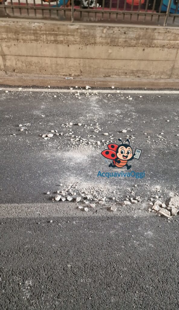 Dettaglio dei calcinacci distaccati e ferri a vista nel Sottopasso via per Cassano ad Acquaviva delle Fonti.