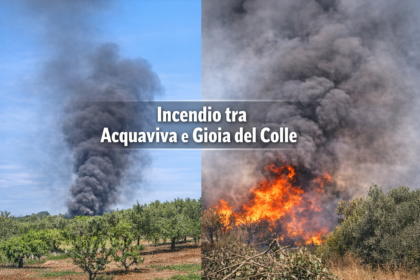 Colonna di fumo nero tra Acquaviva e Gioia del Colle: 1 rogo tossico allerta le Guardie per l'Ambiente 7 Vasta colonna di fumo nero si leva dalle campagne tra Acquaviva delle Fonti e Gioia del Colle vicino a terreni agricoli.