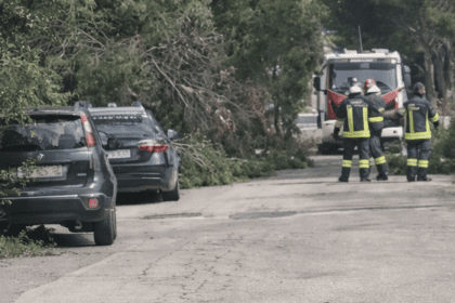 Intervento dei Vigili del Fuoco dopo la tragedia a Bisceglie in via Cosmai per la caduta di un albero.