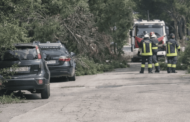 Intervento dei Vigili del Fuoco dopo la tragedia a Bisceglie in via Cosmai per la caduta di un albero.