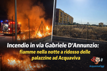 Vista del terreno incolto bruciato dopo l'incendio in via Gabriele D'Annunzio ad Acquaviva delle Fonti con le palazzine sullo sfondo.