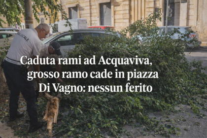 Intervento delle autorità dopo la caduta rami ad Acquaviva in piazza Di Vagno su un'auto parcheggiata.