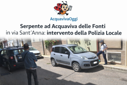 Polizia Locale in via Sant’Anna ad Acquaviva delle Fonti per un serpente sotto un’auto in sosta