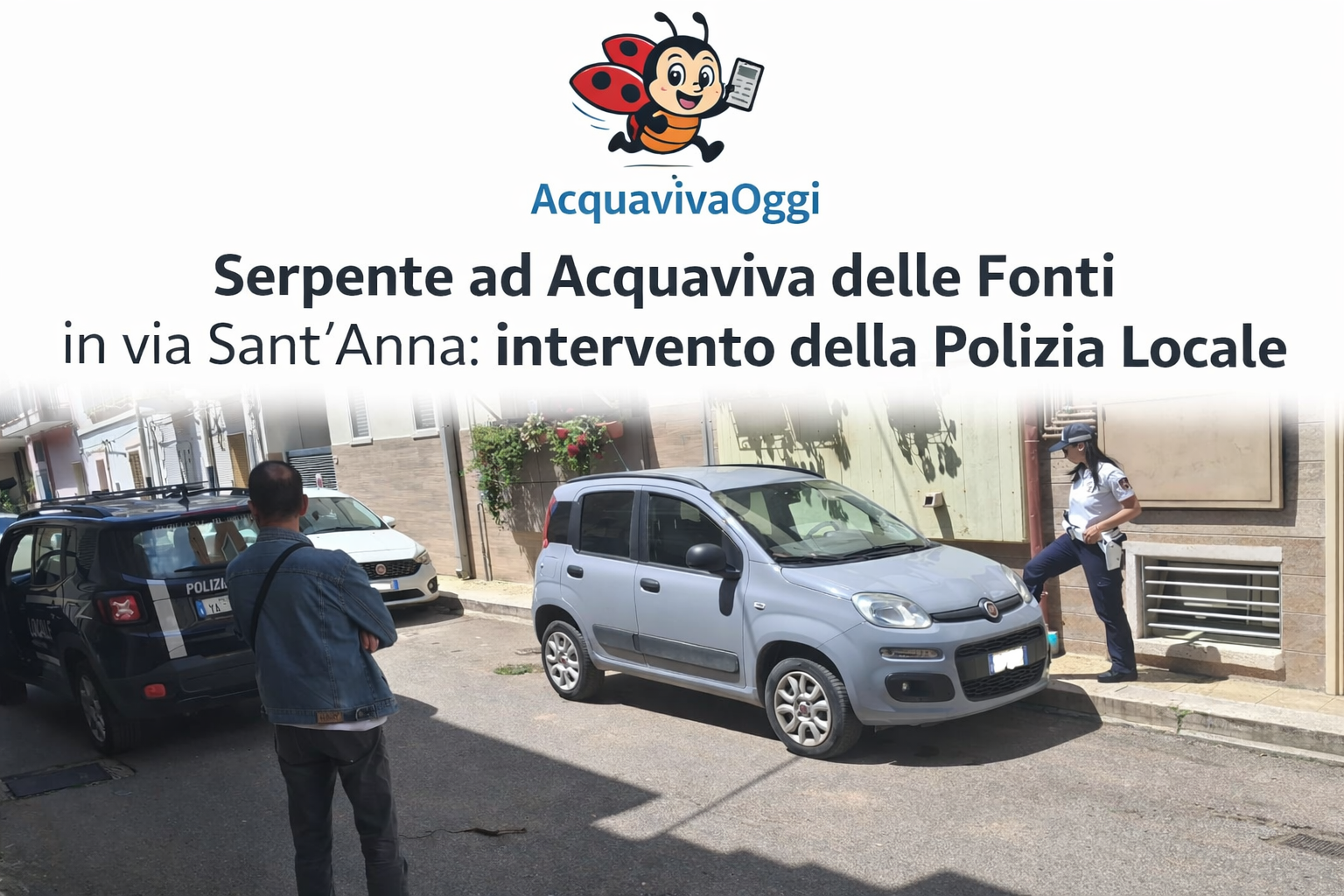 Polizia Locale in via Sant’Anna ad Acquaviva delle Fonti per un serpente sotto un’auto in sosta