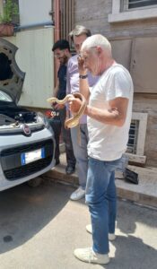 Serpente in via Sant’Anna