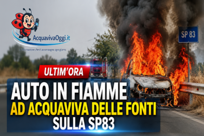 Auto in fiamme ad Acquaviva delle Fonti sulla SP83 7 Colonna di fumo nero e intervento dei soccorsi per l'auto in fiamme Acquaviva sulla SP83.