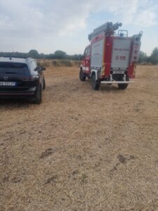Incendio in Contrada San Benedetto: paura ad Acquaviva delle Fonti 8 Incendio in contrada San Benedetto intervento dei vigili del fuoco per spegnere le fiamme in un campo ad Acquaviva delle Fonti.