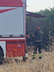 Incendio in Contrada San Benedetto: paura ad Acquaviva delle Fonti 5 Incendio in contrada San Benedetto intervento dei vigili del fuoco per spegnere le fiamme in un campo ad Acquaviva delle Fonti.