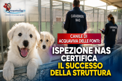 Canile di Acquaviva delle Fonti esito positivo per l'ispezione dei NAS.