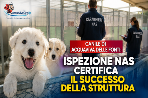 Canile di Acquaviva delle Fonti: ispezione NAS certifica il successo della struttura 27 Canile di Acquaviva delle Fonti esito positivo per l'ispezione dei NAS.