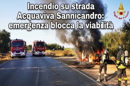 Incendio su strada Acquaviva Sannicandro: emergenza blocca la viabilità 10 Incendio su strada Acquaviva Sannicandro emergenza blocca la viabilità