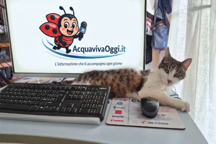 Gatto disteso vicino al pc nella Giornata Internazionale del Gatto