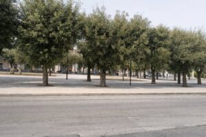 Piazza Vittorio Emanuele