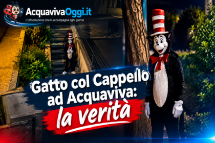 Costume gatto col cappello, il trend virale scambiato per avvistamento ad Acquaviva
