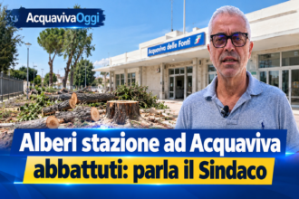 🌳 Alberi stazione, parla il sindaco Lenoci