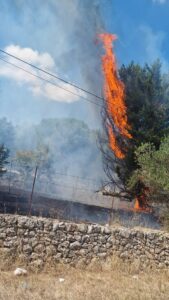 Incendio sulla SP20 ad Acquaviva