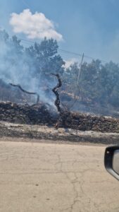 Incendio sulla SP20 ad Acquaviva