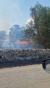 Incendio sulla SP20 ad Acquaviva