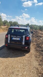 Incendio sulla SP20 ad Acquaviva delle Fonti